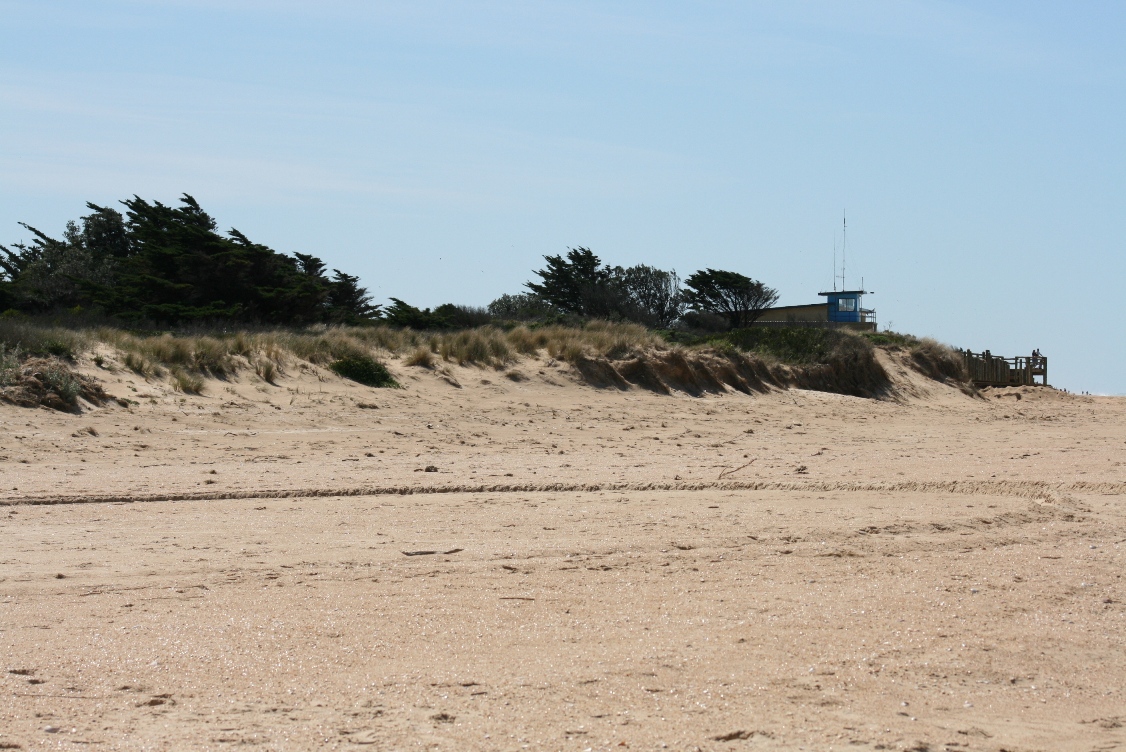 Surf lifesaving club