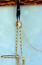 ultimate.jpg (39149 bytes)